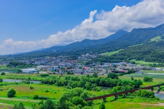 furano-sample